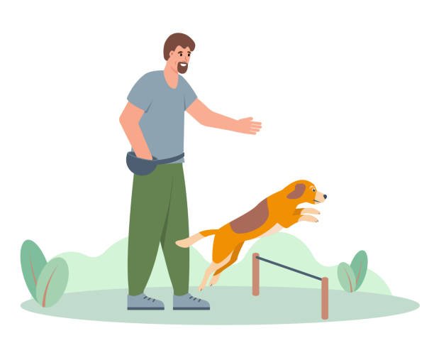 Dog Trainers